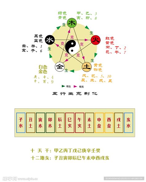 己五行|天干地支五行对照表图 阴阳五行